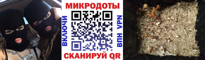Галлюциногенные грибы прущие грибы  наркотики  Судак 