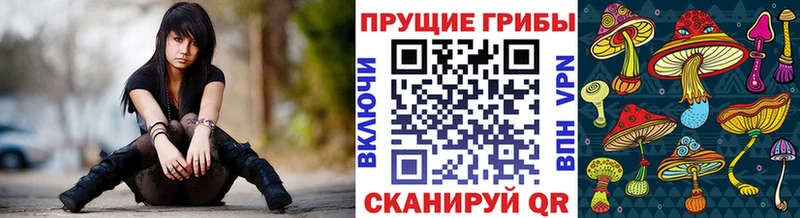 Псилоцибиновые грибы Psilocybine cubensis Судак